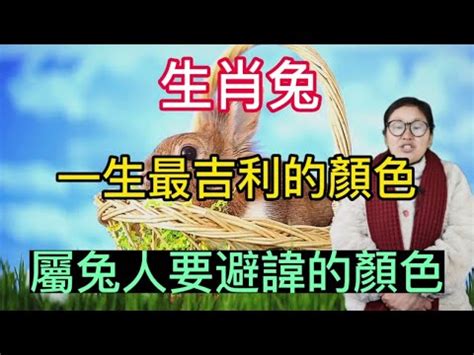 幸運色查詢|一生幸運色免費測算